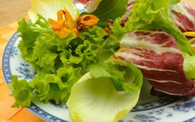 Salada jardineira criativa