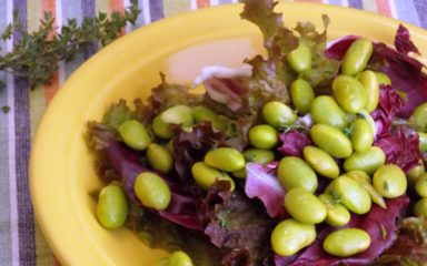 Salada de alface roxa e soja edamame a portuguesa
