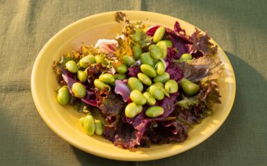 Salada de alface roxa e soja edamame à portuguesa