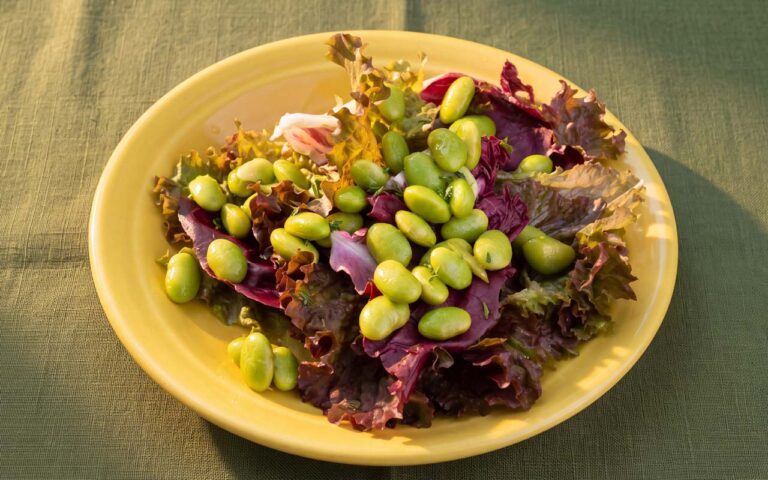 Salada de alface roxa e soja edamame à portuguesa