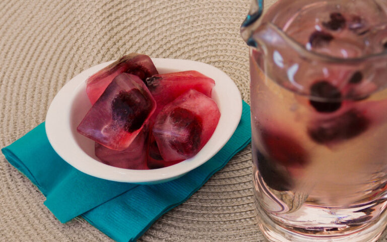 Cubos de gelo com frutas